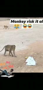 what if its was real snake? haha | Matilda Makafui