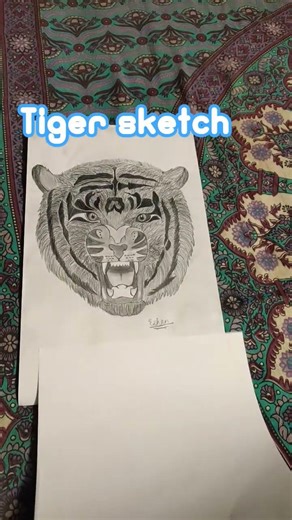 realistic tiger sketch