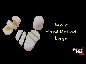 Mold Hard Boiled Eggs | STEM Activity