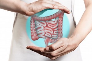 Gastroenterology, the most common intestinal disorders