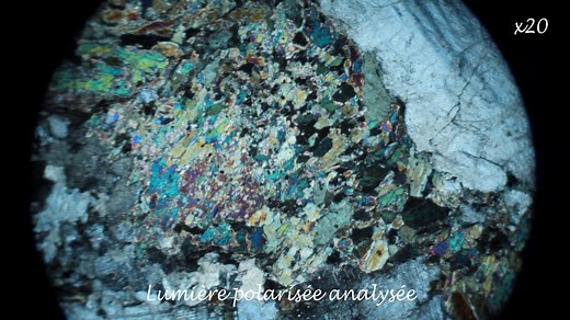 Une lame de métagabbro à hornblende vue au microscope polarisant