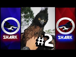 Itz Shark | "Nature is Scary" Animal Voiceover Compilation #2