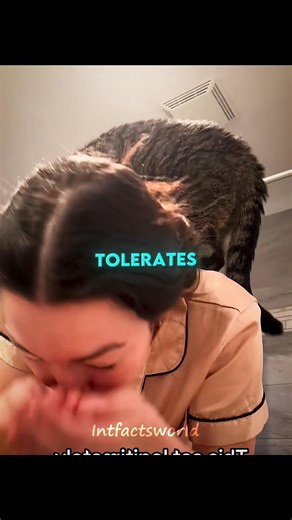 10K views · 39 reactions | Intfactsworld - Intelligent Facts world on Reels | Facebook