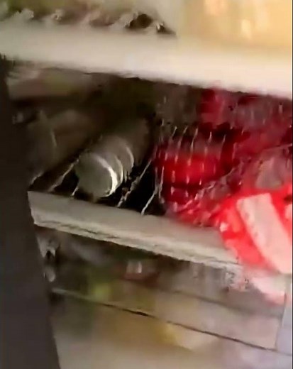RV consumer shares refrigerator door issues