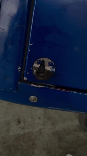 Exploring the Tiger Moth Up Close