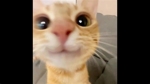 Sillysadboy5000 on TikTok