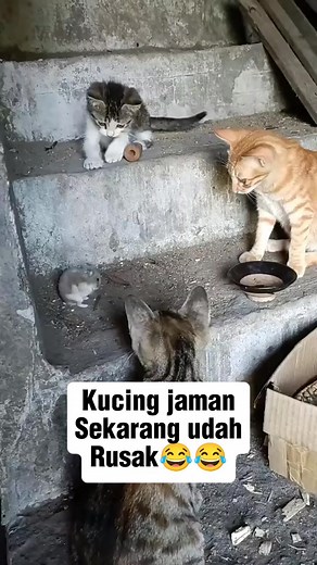 10K reactions · 767 shares | Aduhaiii..  | Dunia Bulus | Facebook