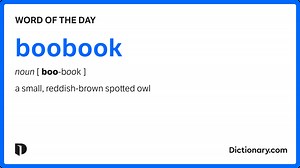 boobook