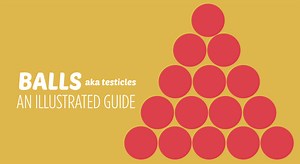 Balls and Cum an Illustrated Guide