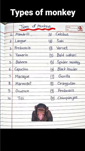 types of monkey || different types of monkeys #monkey #gorilla #animals #education #shorts