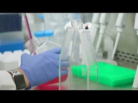Understanding multiple sclerosis (MS) | Ohio State Medical Center