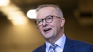 Albanese’s pigeon poo story ‘another example’ he’s ‘not up for it’: Murray