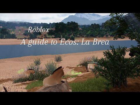 A guide to Ecos: La Brea