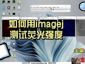 image view如何测量数据