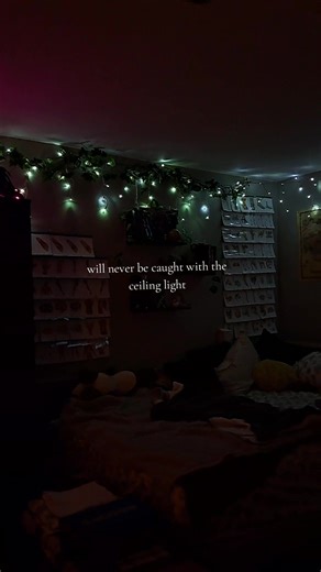 mood lighting forever #mood #fairycore #cottagecore #booktok #fyp