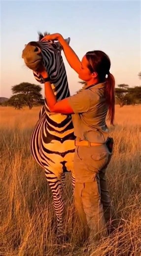 The Most Peaceful Zebra Connection You’ll Ever See 🦓✨