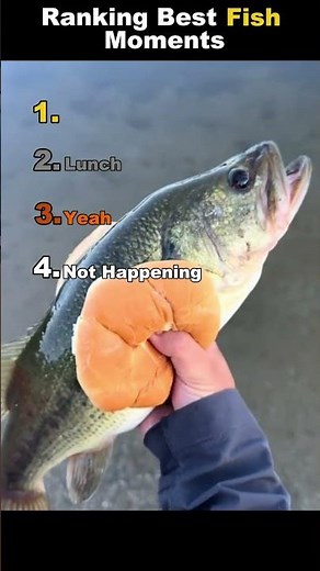 Ranking Best Fish Moments