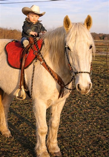 Watching this little cowboy sit tall on such a big, gentle horse is a reminder that confidence starts early. Tiny boots, steady hands, and a brave heart learning trust, patience, and courage one ride at a time. Some lessons are best learned outdoors, under open skies, with hooves beneath you. | Stable Express