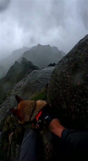 We Were Caught In A Massive Storm! ☂ Ǵ15