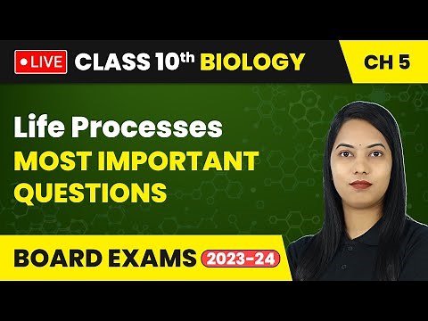 Life Processes - Most Important Questions | Class 10 Biology Chapter 5 | LIVE