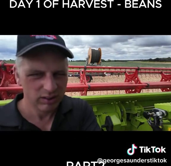DAY 1 OF HARVEST - BEANS2