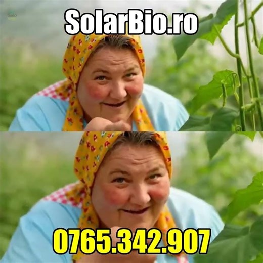 Răsaduri viguroase în solar: 3 pași simpli care chiar funcționează