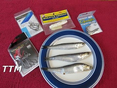 Striper Fishing with Frozen Anchovies for Bait~How to Keep Frozen Anchovies on the Hook