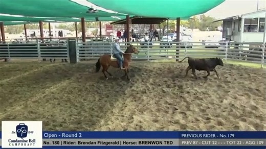 5.7K views · 37 reactions | ퟐퟎퟐퟒ 퐂퐎퐍퐃퐀퐌퐈퐍퐄 퐁퐄퐋퐋 퐎퐏퐄퐍 퐑퐃ퟐ Moore Rox has been strutting his stuff in The Territory over the last few weeks, winning drafts and 4 cutouts! Great to see his son BRENWON TED, with former owner Brendan Fitzgerald, showing he also has what it takes. A great run of 90 (22 64 4) in Rd2.  www.moorerox.com.au Video thanks to Condamine Bell Campdraft & Australian Equine Network . | Select Sires | Facebook