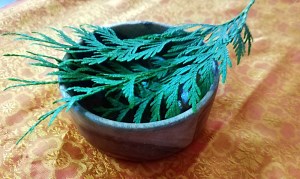 ZEN & THE WEST: Nearly Random Thoughts On Clerical Marriage In Buddhism, Women Teaching, And The Rise Of Householder Zen