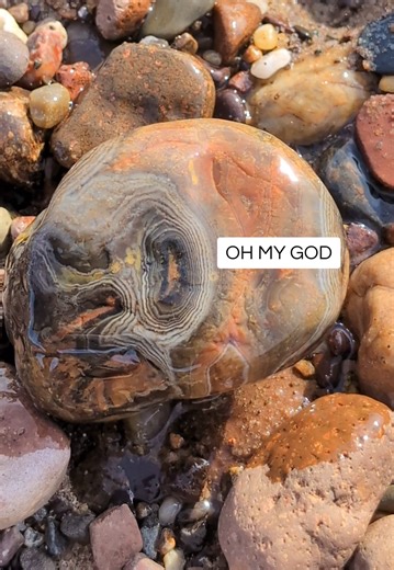 Top Rock Hunting Tips for Beginners