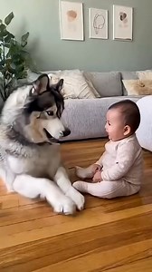 619K views · 10K reactions | Daily Topic on Reels | Facebook