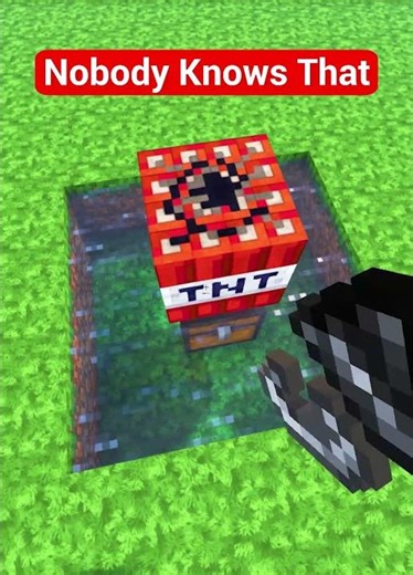 Minecraft Crazy Portal Trick 🤯 (Life Goes On) #minecraft #shorts