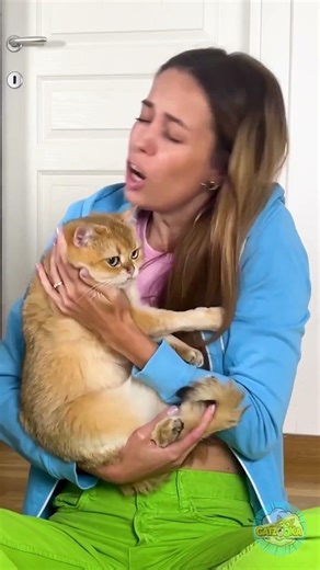 Epic Cat Showdown: Feline Fury Unleashed! 🐾💥