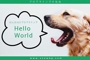 3か月でプログラミングが出来るのか？ - プログラミング（Hello world）の勉強