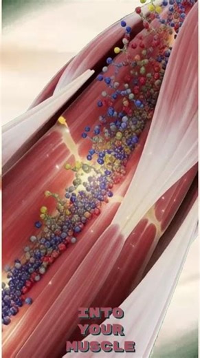 How Protein Boosts Your Brain — 3D Neural View