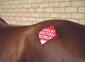 Great British Bonus Scheme