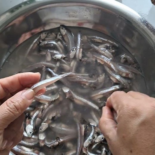 Tutorial for cleaning Anchovy fish | how to clean and prep Anchovy fish | #rovenas