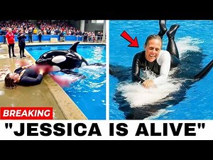 Jessica the Orca Trainer – Alive? New Evidence Will Shock You