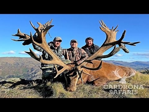 World Class New Zealand Red Stag Hunting With Venator Cardrona Safaris