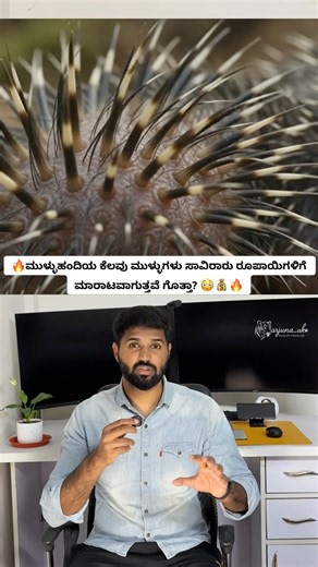 Porcupine Quills Are Sold for Thousands! 😳#shorts #wildlife #nature