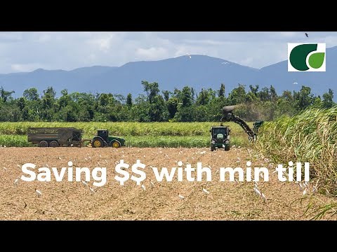 Minimum Tillage: How to save dollars and improve soil health