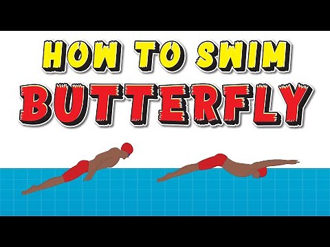 How to Swim Butterfly : Butterfly Stroke Swimming Technique EXPLAINED