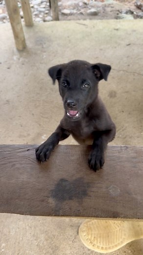 ❤️ | Cherry B. Pierce