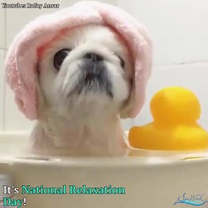 2.6K views · 56 reactions | How Tuesdays should be spent every...