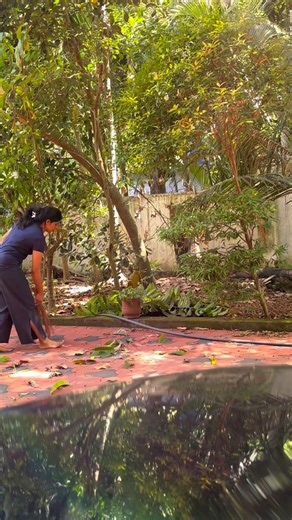 Day in my Life Alappey Edition || Home town Kerala || ♥️