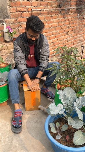 meso pot review (comment for link)#yt #garden #terracegardenindia #shortsfeed #gardening #pot