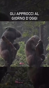 Uomo petulante o donna aggresiva? Angelica Massera | Rambosmash