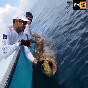 337K views | chicken fishing lol | Origin Data Recovery | Facebook