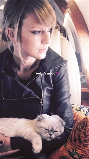 🥹 | ICanHasCheezburger?