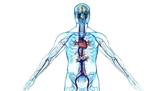 Metabolic Syndrome (syndrome X): A Dangerous Combination of Risk Factors | DM HEART CARE CLINIC